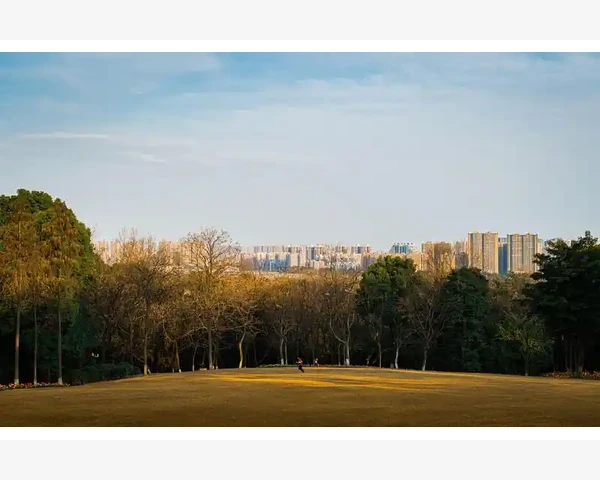 孕妇肝火旺吃什么好用