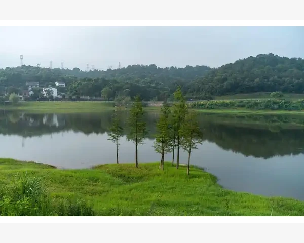 祛湿驱寒药浴配方：舒缓湿寒，深入温暖身心